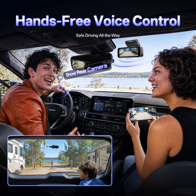 voice control